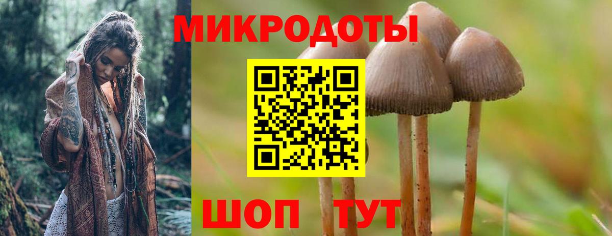 наркошоп  Вход с VPN  Ивантеевка  Псилоцибиновые грибы MAGIC MUSHROOMS 