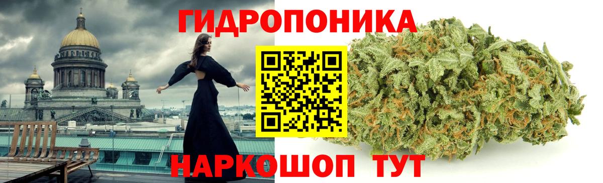 Бошки Шишки сатива  Каннабис сатива  Ивантеевка  Вход с VPN  Каннабис планчик 